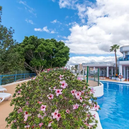 Cozy In Paraiso Del Sur - Tenesol *